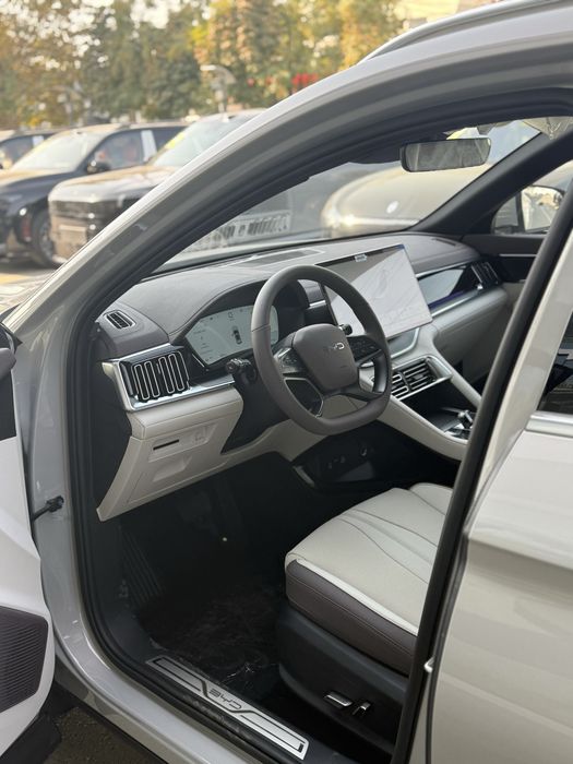 BYD champion smart