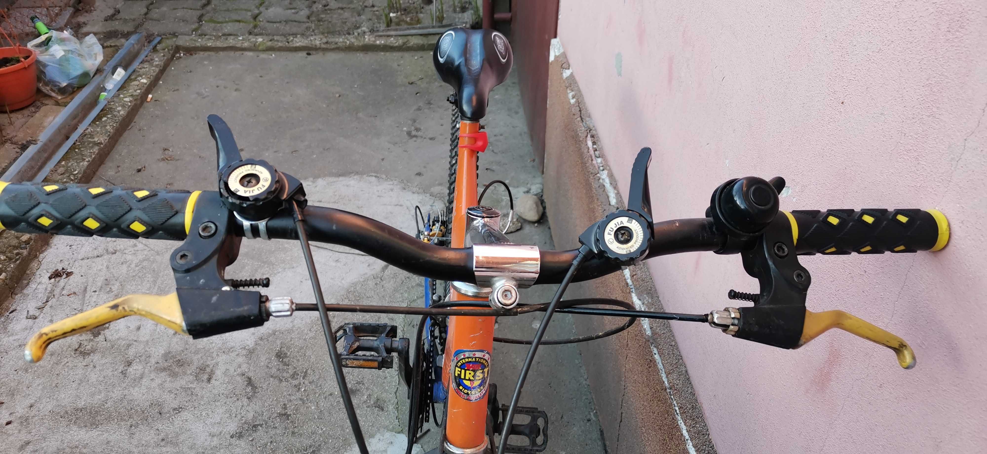 Bicicleta copiii sau adulți