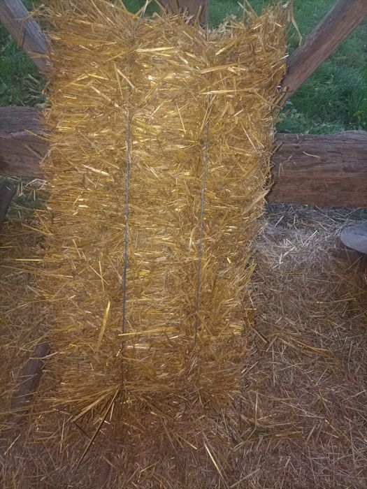 Vând baloți de paie de ovaz