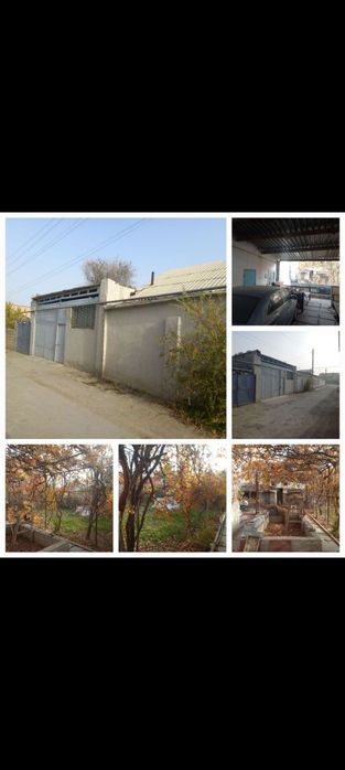 Sputnikda 6 sotixli hovli sotiladi.