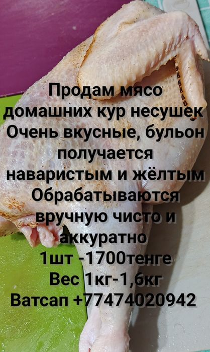 Продам Домашние масло несушки