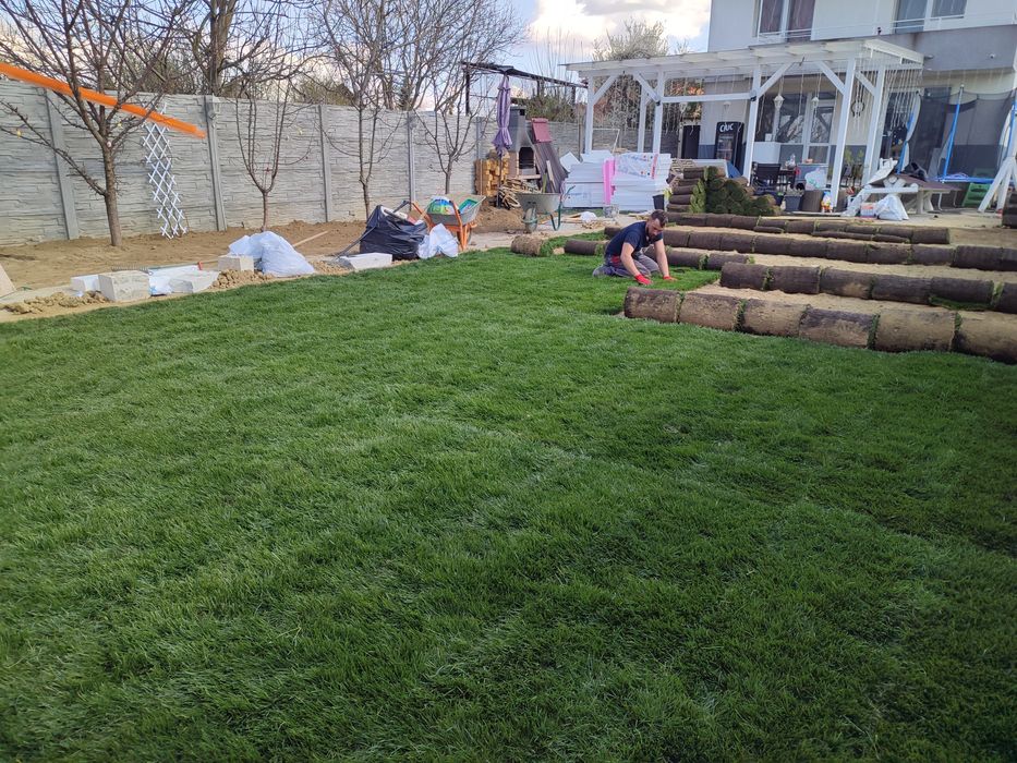 Gazon rulou sport 24 de lei m2 transport și montaj inclus în preț