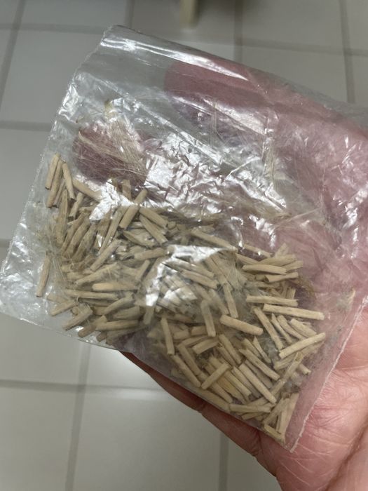 Адениум семена и сеянцы