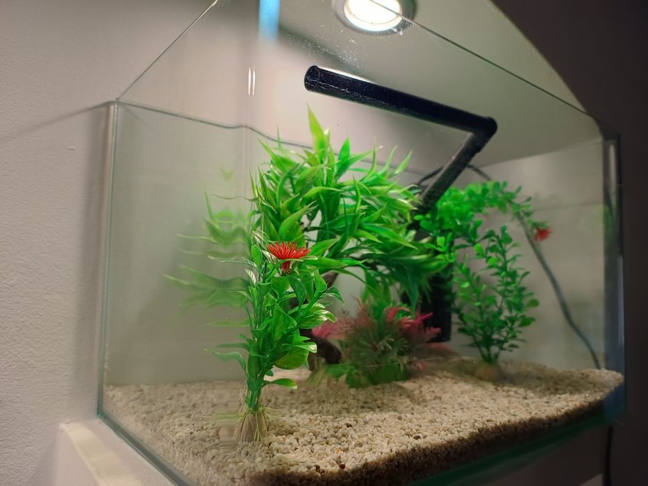 Acvariu sticla curbat complet