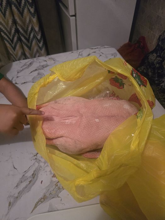 Продам гусей чистые ,без пеньков