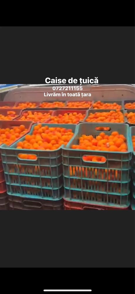 Vand caise de tuica palinca productie 2025