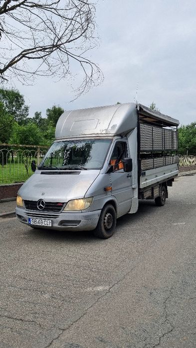 Transport frigorific transport orice transport marfa urgent persoane