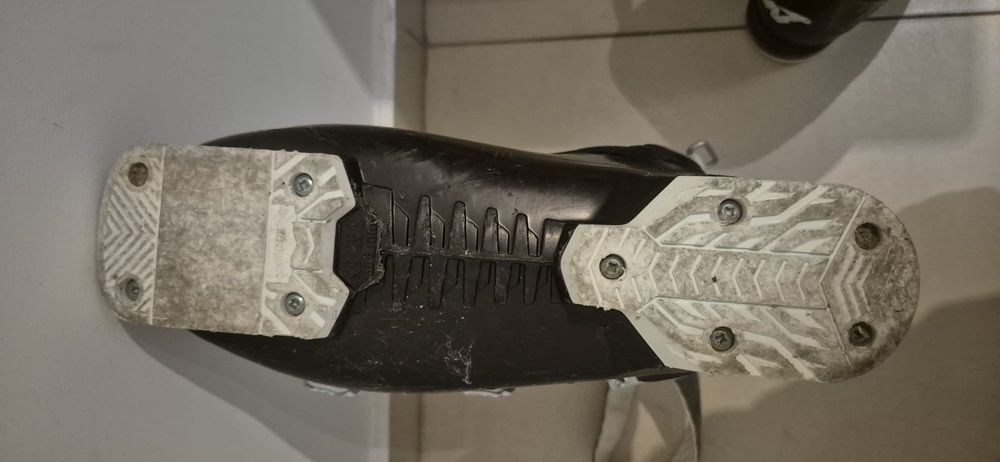 Clapari Nordica Cruise 26 cm model 2020