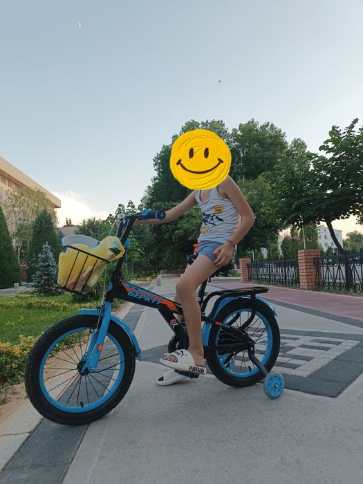 Велосипед Беркут