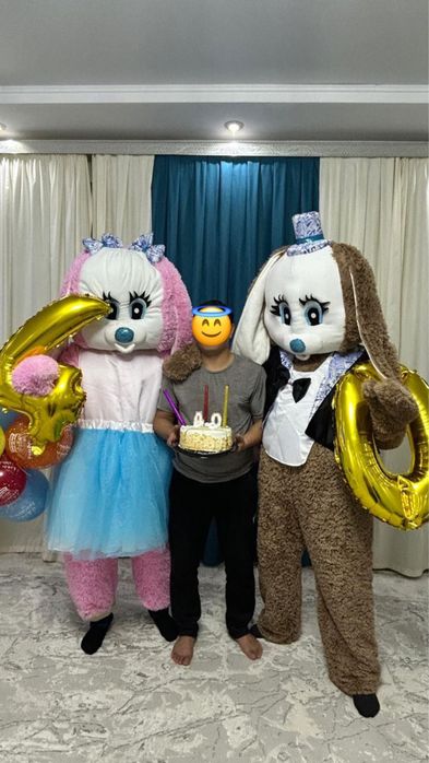 Тедди Мишка | Зайки | Мероприятий | Зайки | Аренда