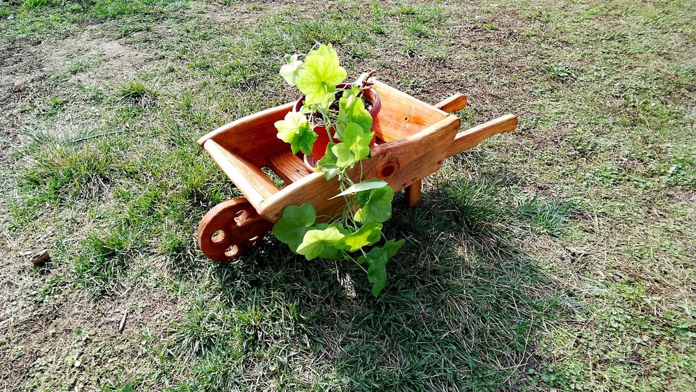 Градинска Декорация  Мечета Патки Колички