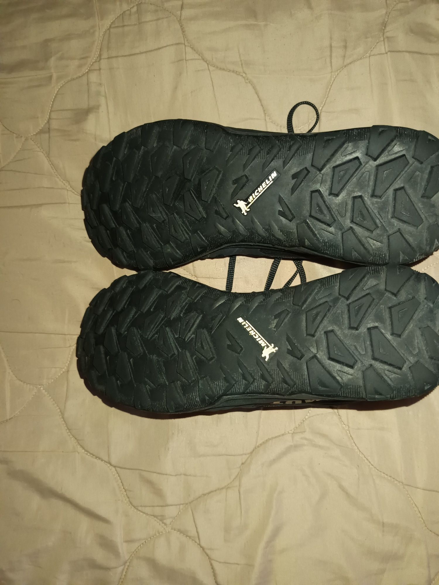 Mammut saentis 42