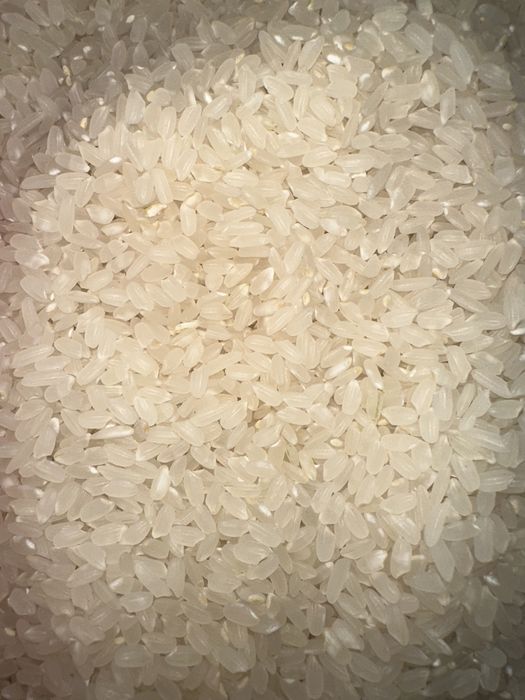 Guliston lideri guruchi