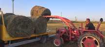 De vânzare. McCormICK D-432