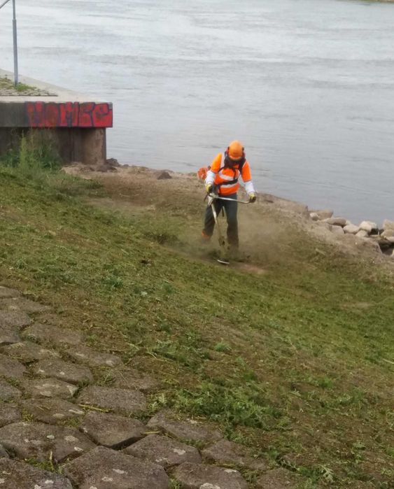 Oferim servici  Profesionale in mai multe domenii