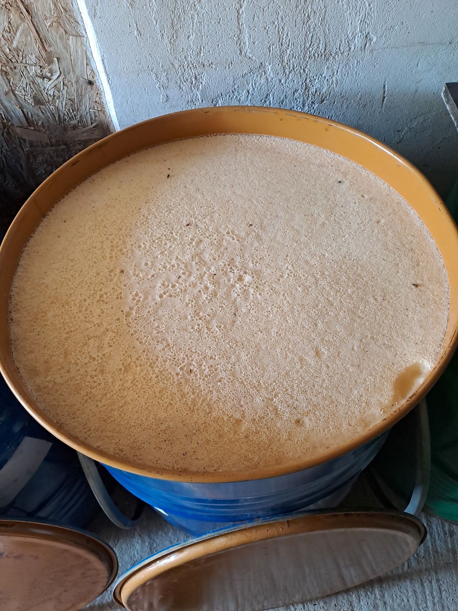 Vând miere de rapiță engros, 12 lei/kg