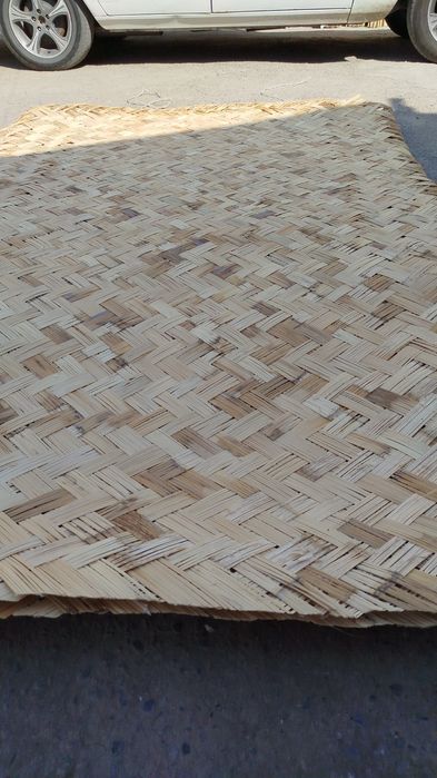 Камышлар бор хар хил турда