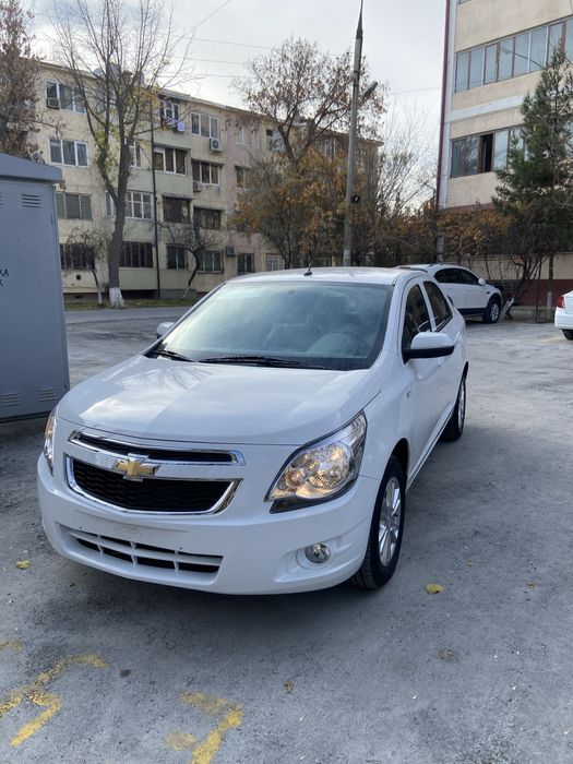 Pachka kobalt stayle