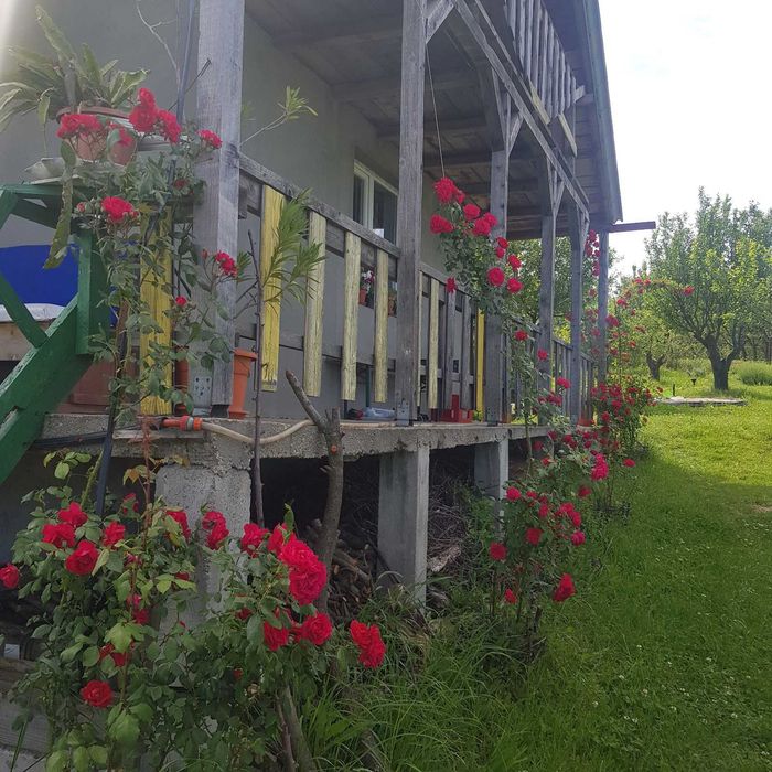 Teren 3687 mp cu casa si 2 fronturi stradale de vanzare Oradea