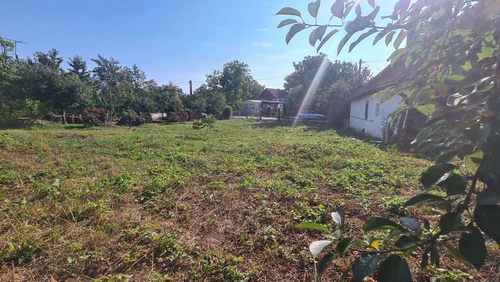 Teren intravilan Gradina Viilor 4041 mp