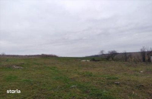 Teren intravilan Tautesti, cota parte de 1/3, ID: R2642215