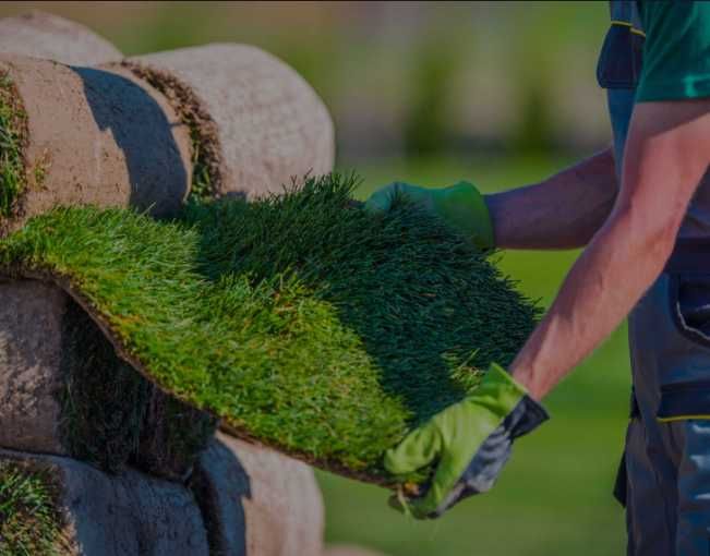 Gazon Rulou Sport / Premium