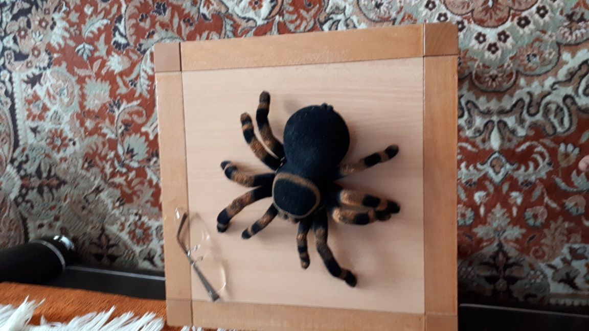 tarantula cu telecomanda