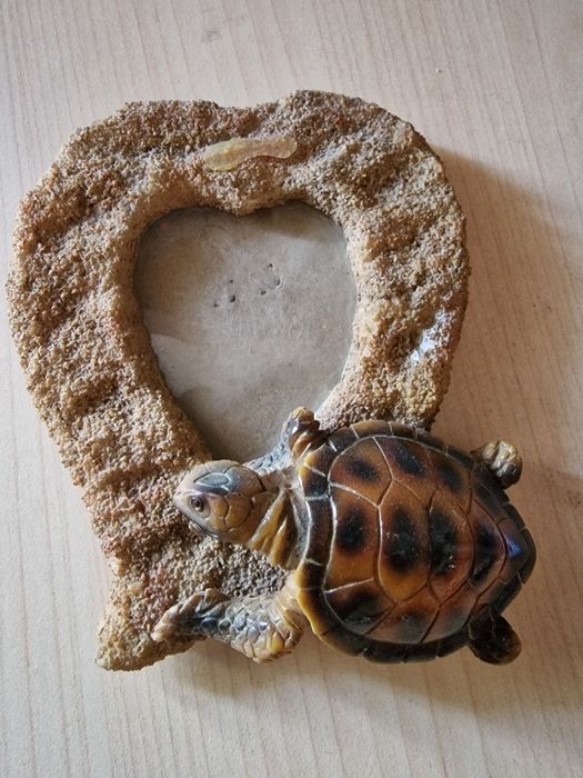 Rama foto cu broscuta