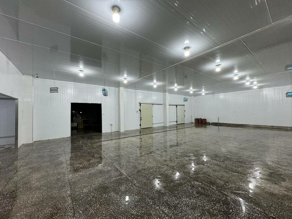 Продаётся 5 000 м² промхолодильник.