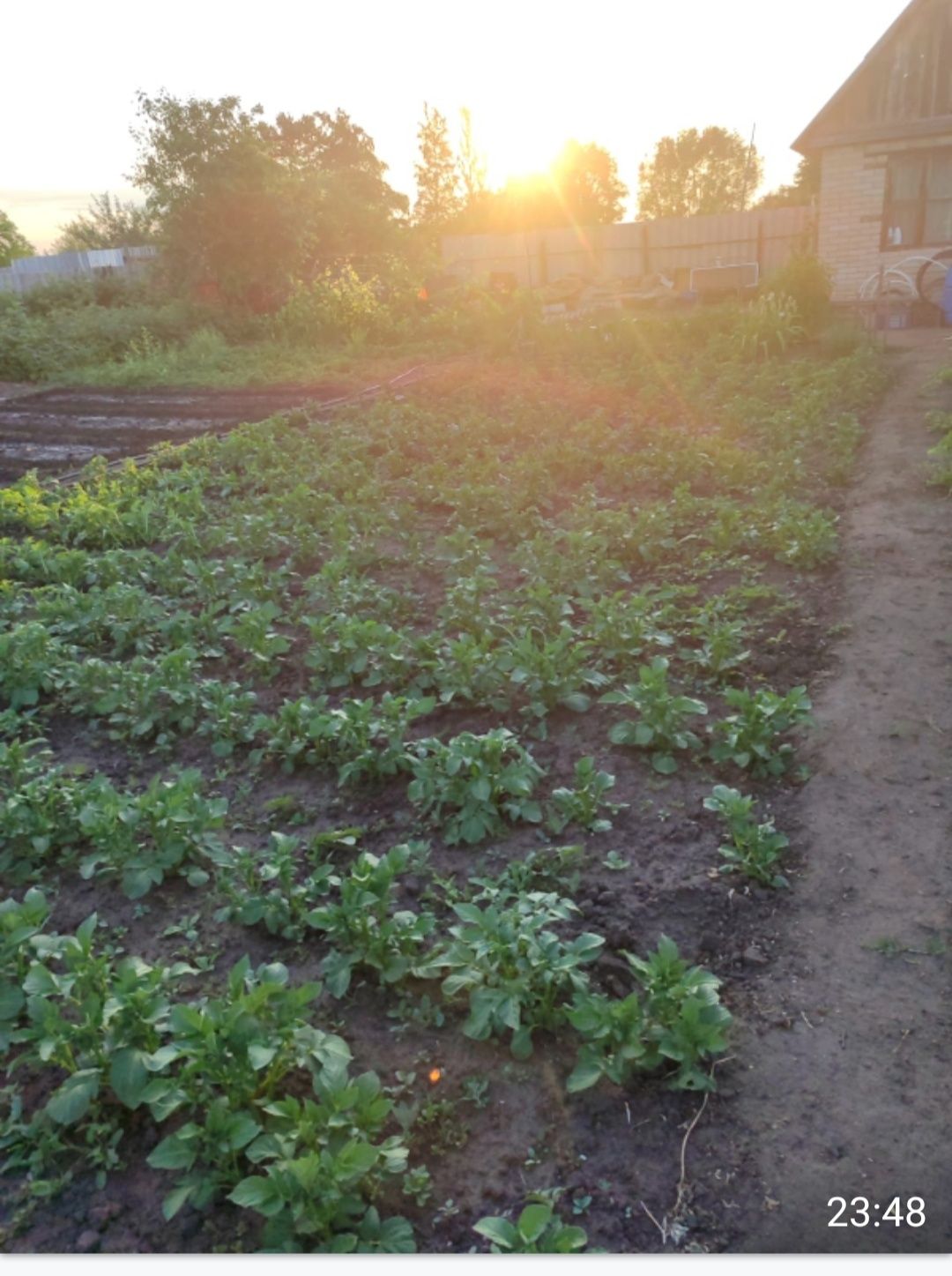 Продам дачу в СО Пригородное