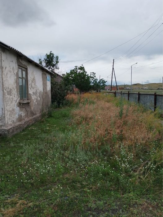 Дом в дереве Алмасай