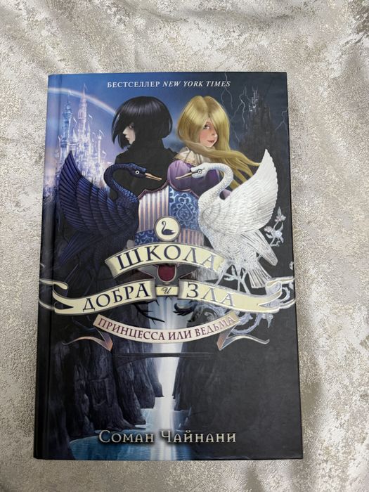 книга Школа Добра и Зла