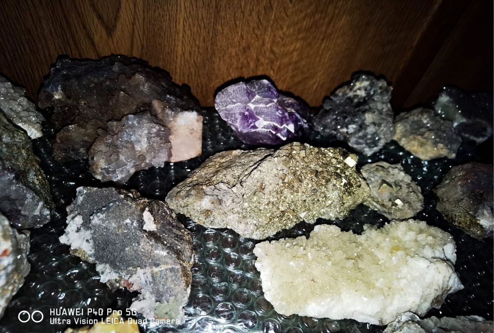 Colectie flori de mina