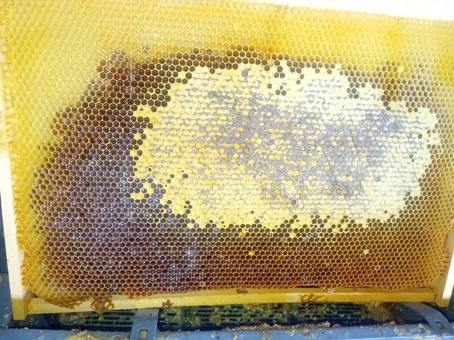 Miere de mana proaspătă