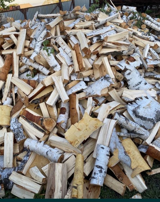 Дрова колотые береза