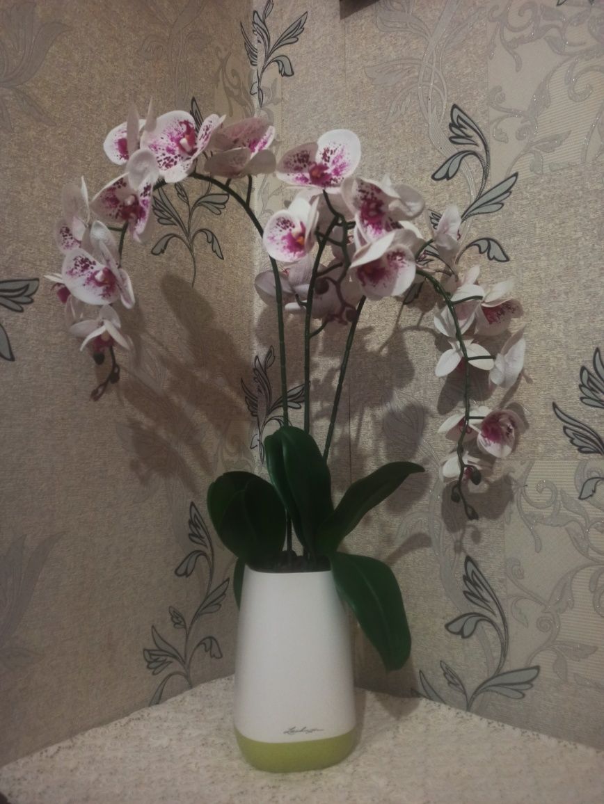 Орхидея интерьерная. Большая. Прекрасное украшение вашего дома, офиса.