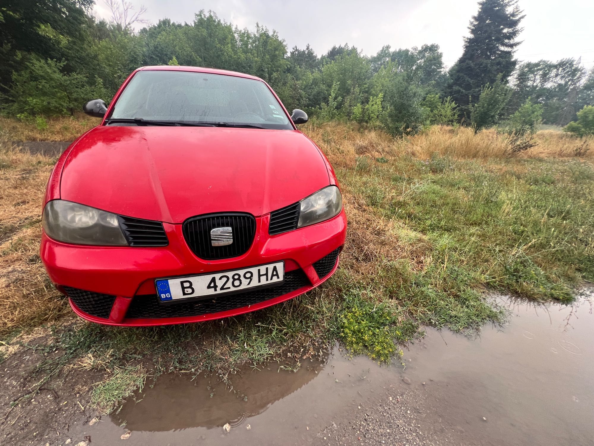 Seat Ibiza – надежден и икономичен автомобил