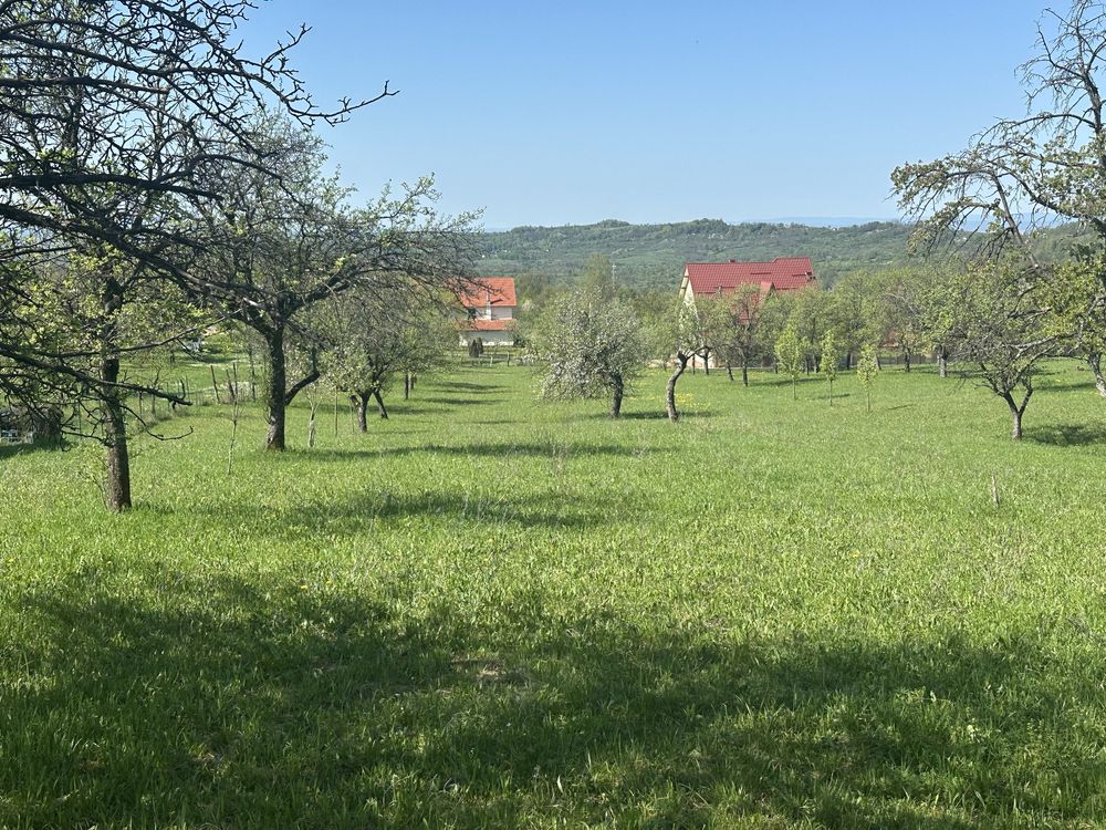 Vand 3420mp (34.2 ari), teren intravilan in localitatea Baia Sprie