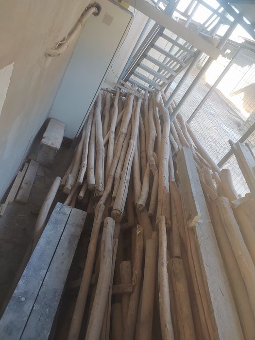 Ustumlik stirapel  terak