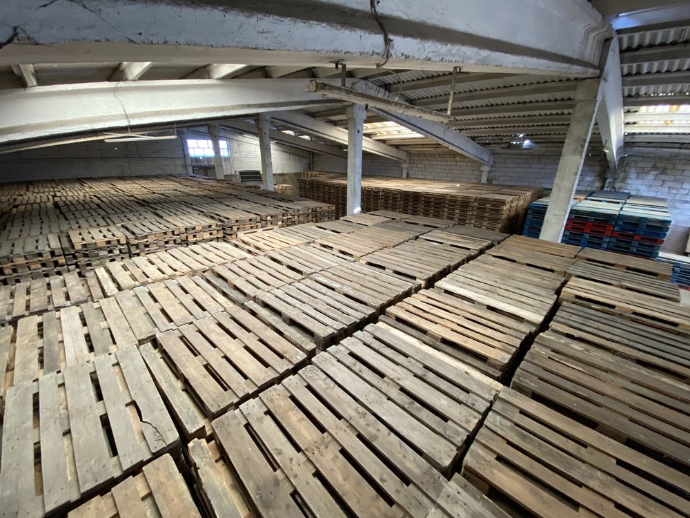 Paleti lemn euro epal 800x1200