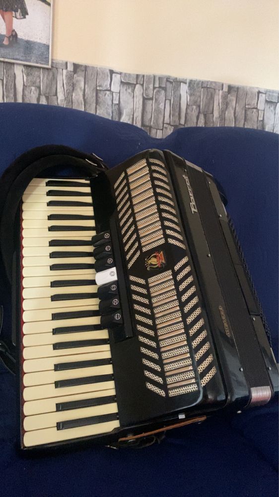 Vand acordeon parrot 120 basii
