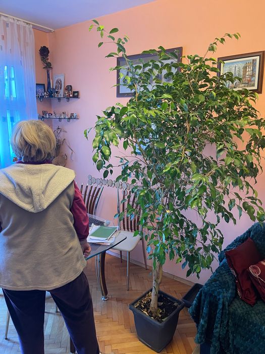 Бенджамин на 20 години