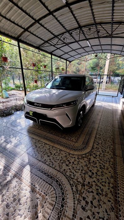 BYD Yuan Up 3-pazisa full pazisa 2025yil