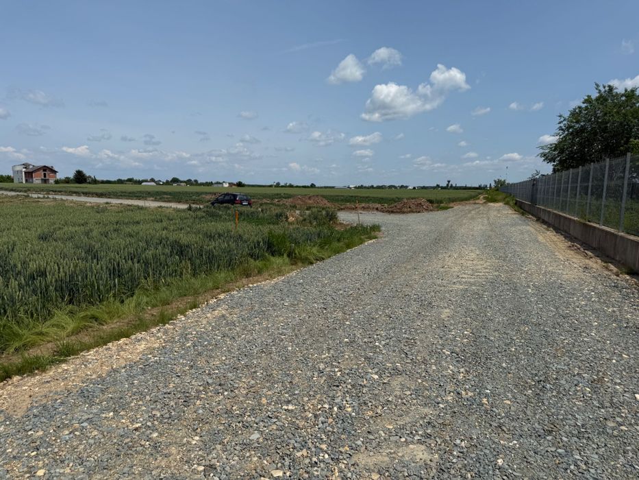 Teren Intravilan Balotesti Therme de vânzare  (Direct Proprietar)