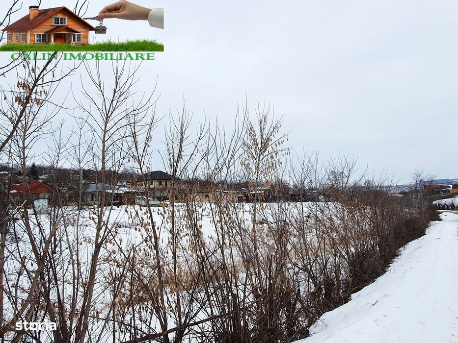 TERENURI URICANI, GAURENI 1442mp, 1900mp, 5000mp 40 Euro/mp