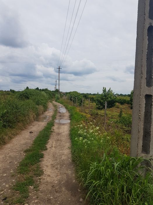 Teren Budești com. Cotesti