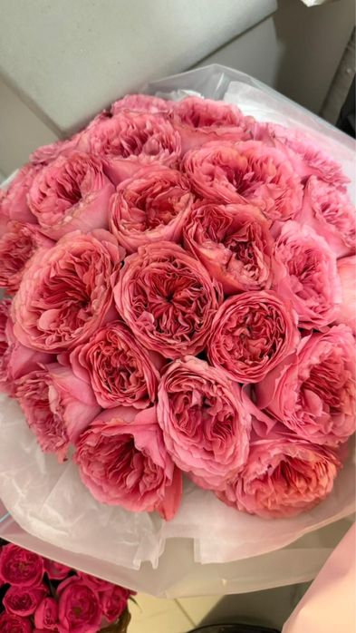 Продам цветы. Город Астана