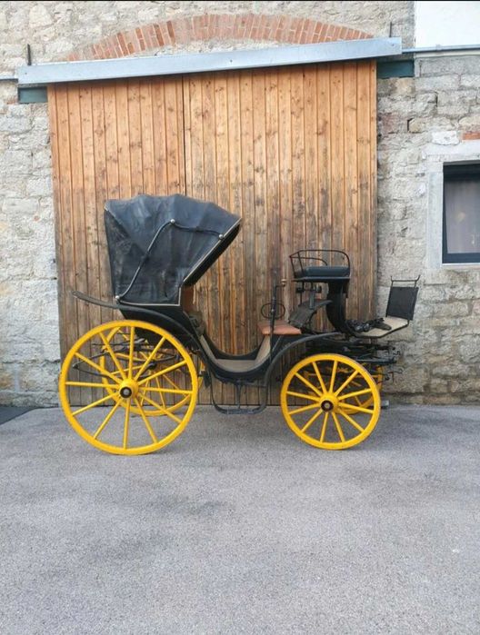 Vând caleașca istorică.