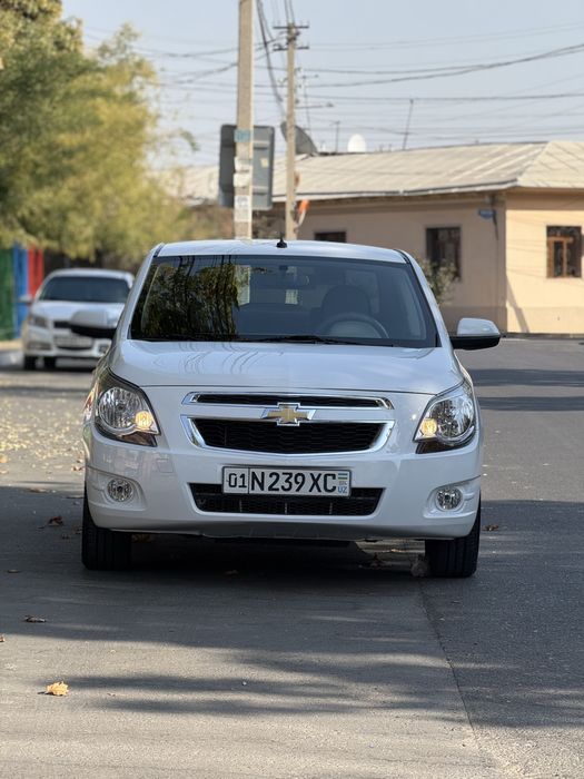 Nasiya savdo arenda faqat Toshken shaxarga kamida 4000 bn chiqadi
