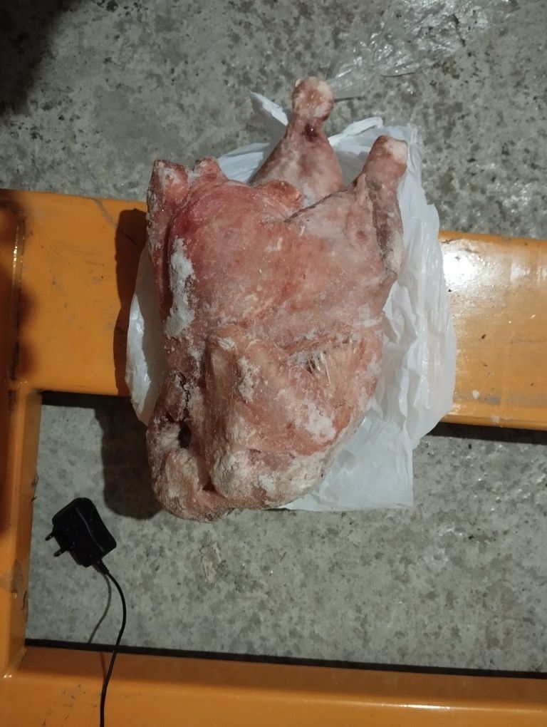 Мясо кур маточных